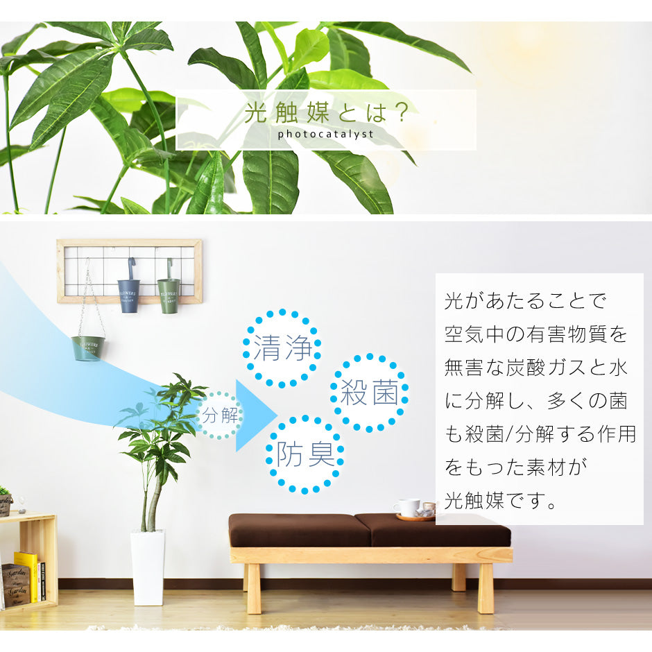 人工観葉植物 パキラ