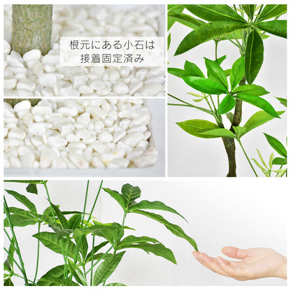 人工観葉植物 パキラ