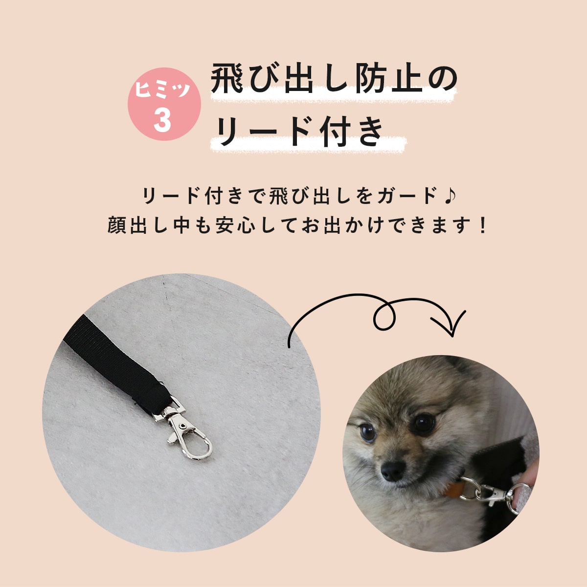 ペットキャリーバッグ　ペペキャリー