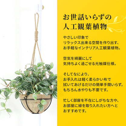 人工観葉植物 ペペロミア サンデルシー43cm