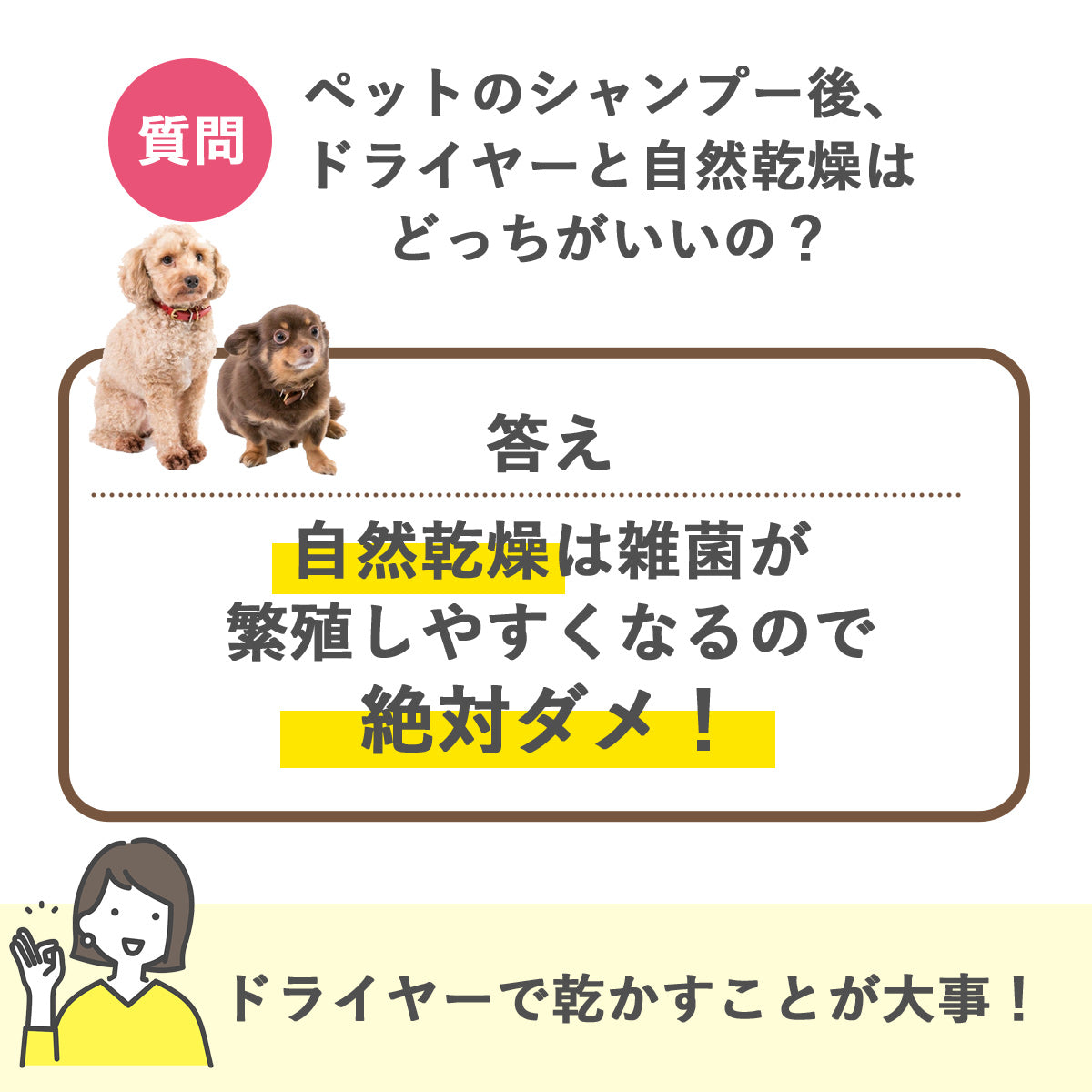 スタンド式ペット用ドライヤー （マイナスイオン/高さ・角度調整可能）