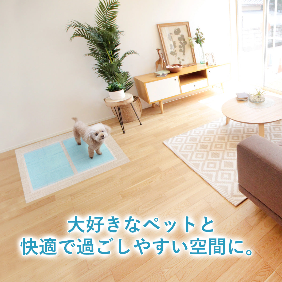 ペットシーツ用防水ズレ防止シート55×80cm