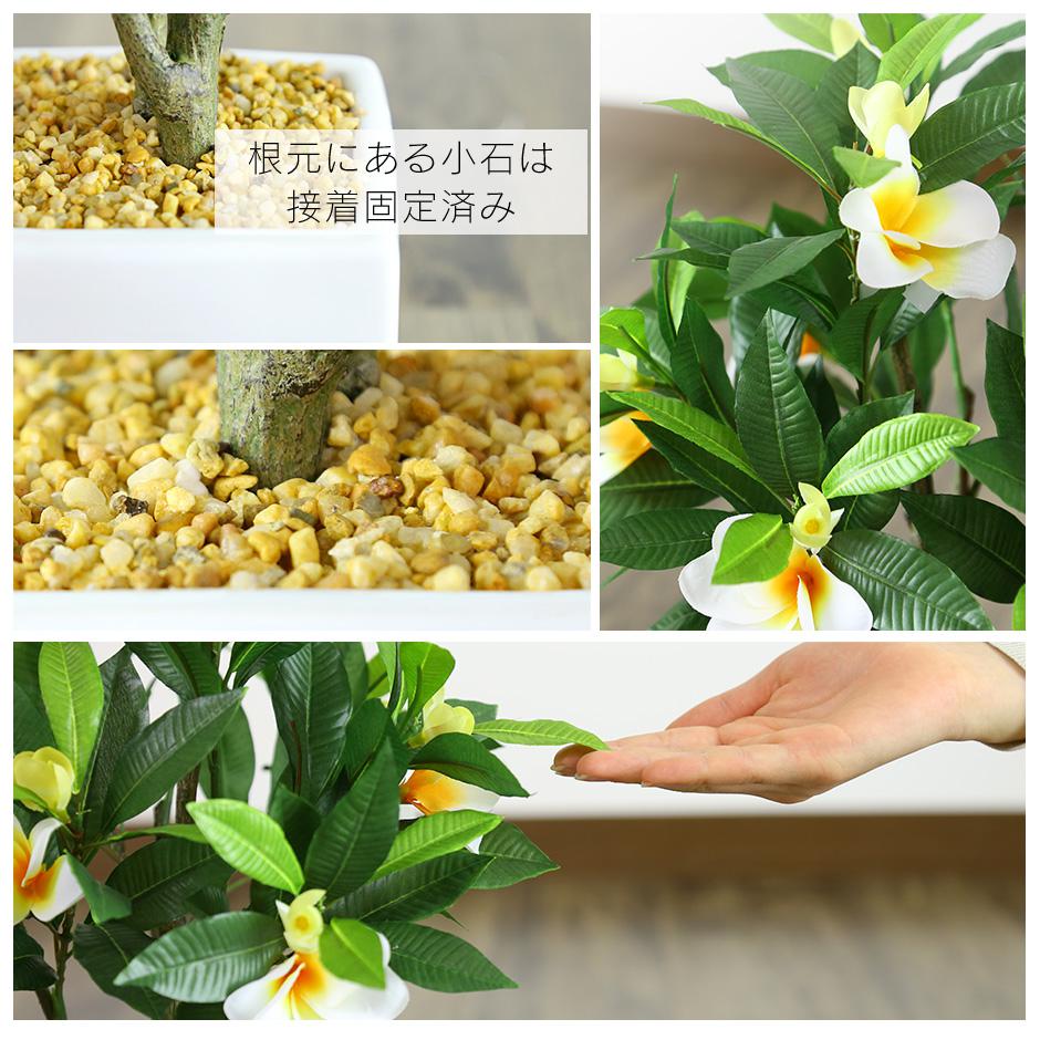 人工観葉植物 プルメリア
