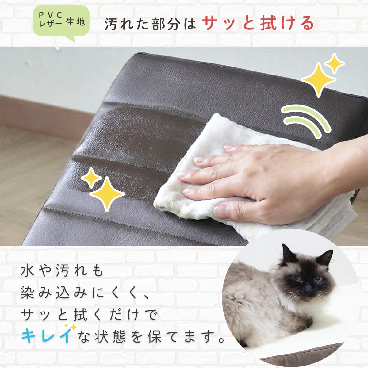 ペットスロープ サリタ