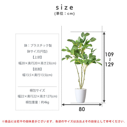人工観葉植物 コーヒーツリー