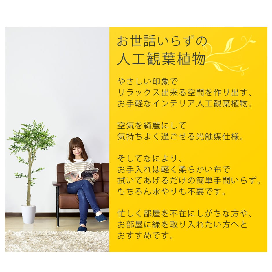 人工観葉植物 イボタノキ