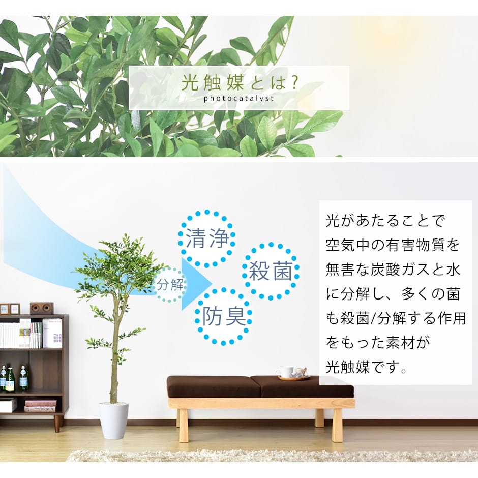 人工観葉植物 イボタノキ