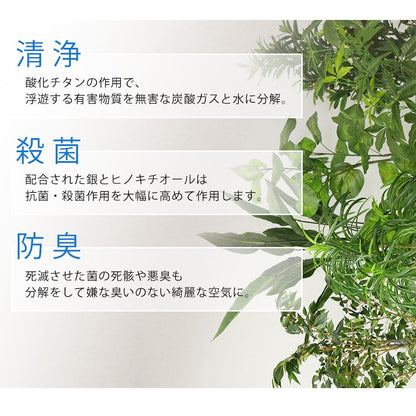 人工観葉植物 イボタノキ