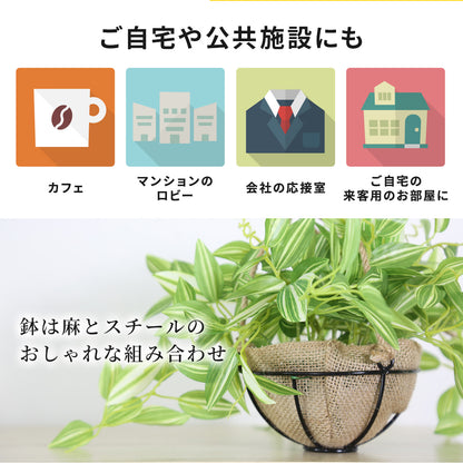 人工観葉植物 ゼブリナ・ペンデュラ43cm