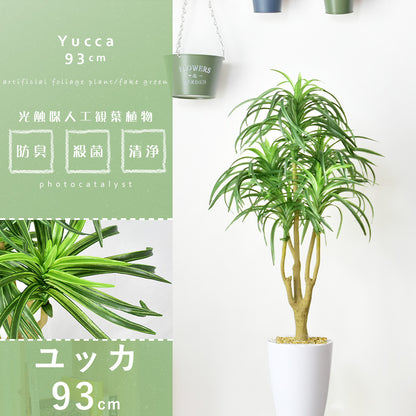人工観葉植物 ユッカ