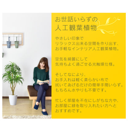人工観葉植物 ユッカ