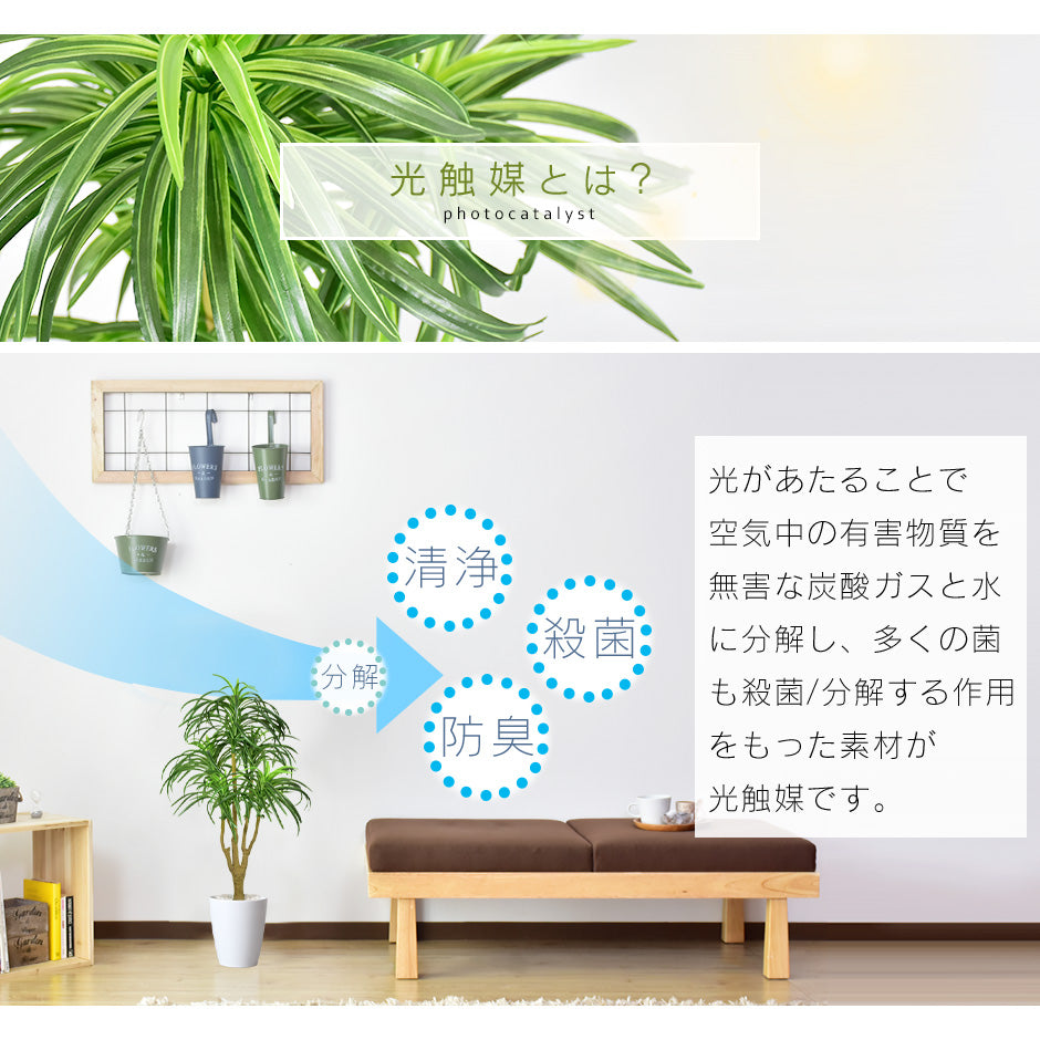 人工観葉植物 ユッカ