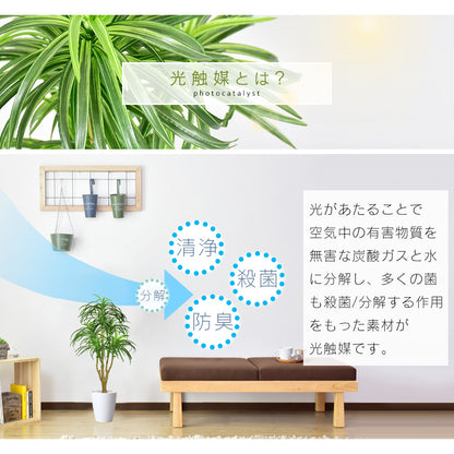 人工観葉植物 ユッカ