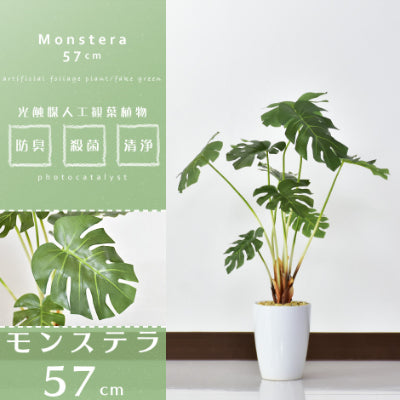 人工観葉植物 モンステラ