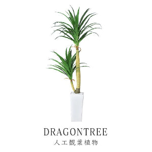 人工観葉植物 ドラゴンツリー