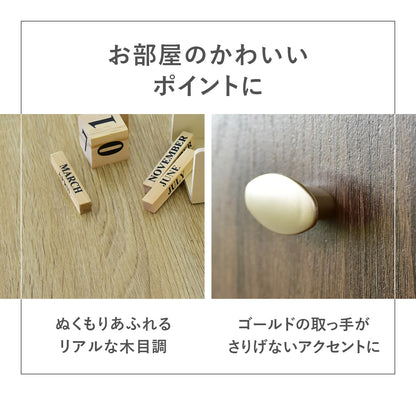 【幅50】 キャビネット ビビ