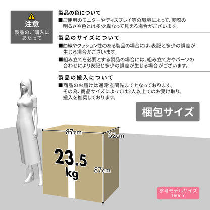 1人掛け ソファ ケアード1P