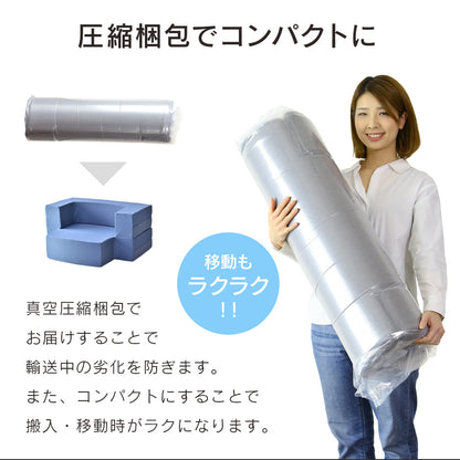 [幅80] ソファー ひとりがけ 1人用 ローソファー 総ウレタンソファ ｜ フラウム 1P