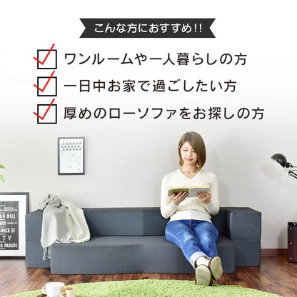 ソファベッド 2人用ソファ フラウム２P
