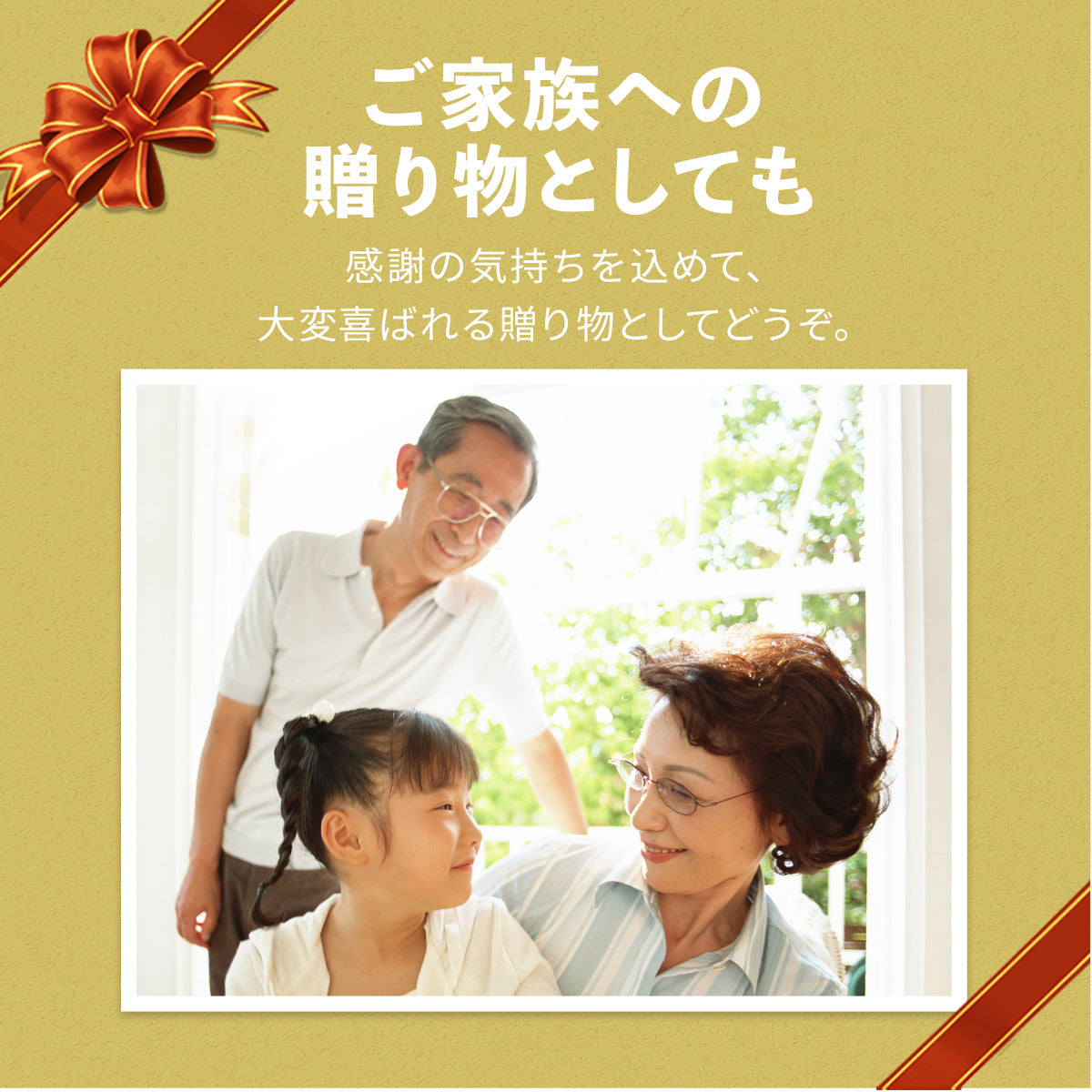 リクライングチェア ソファ ひとりがけ フォード 1P