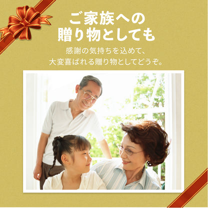 リクライングチェア ソファ ひとりがけ フォード 1P