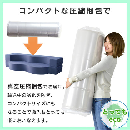 ウレタンソファー 2人掛け 2人用ソファ ソファ ローソファー ソファーベッド フロイデ 2P