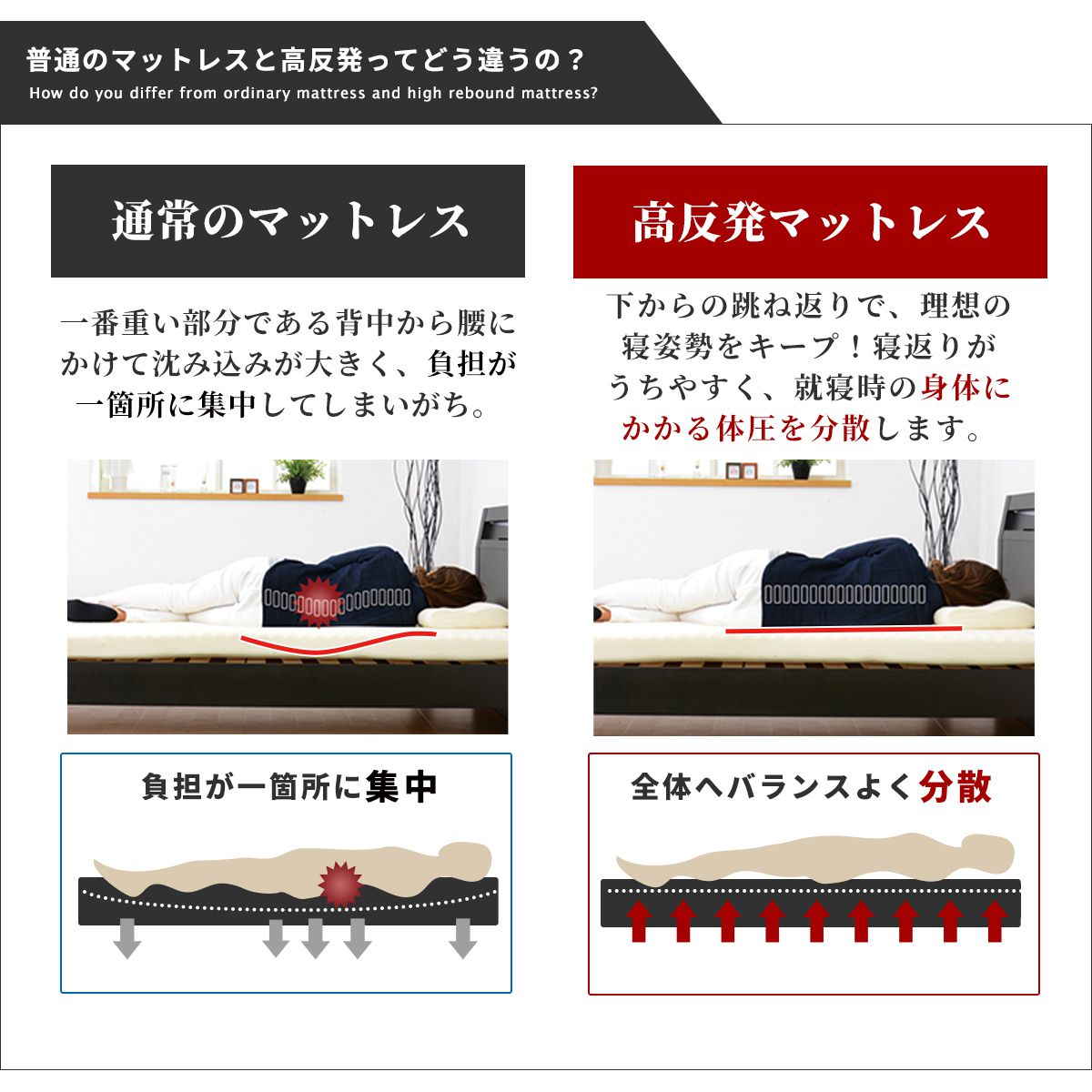 ソファ ひとりがけ ローソファ ベッド グイド1P