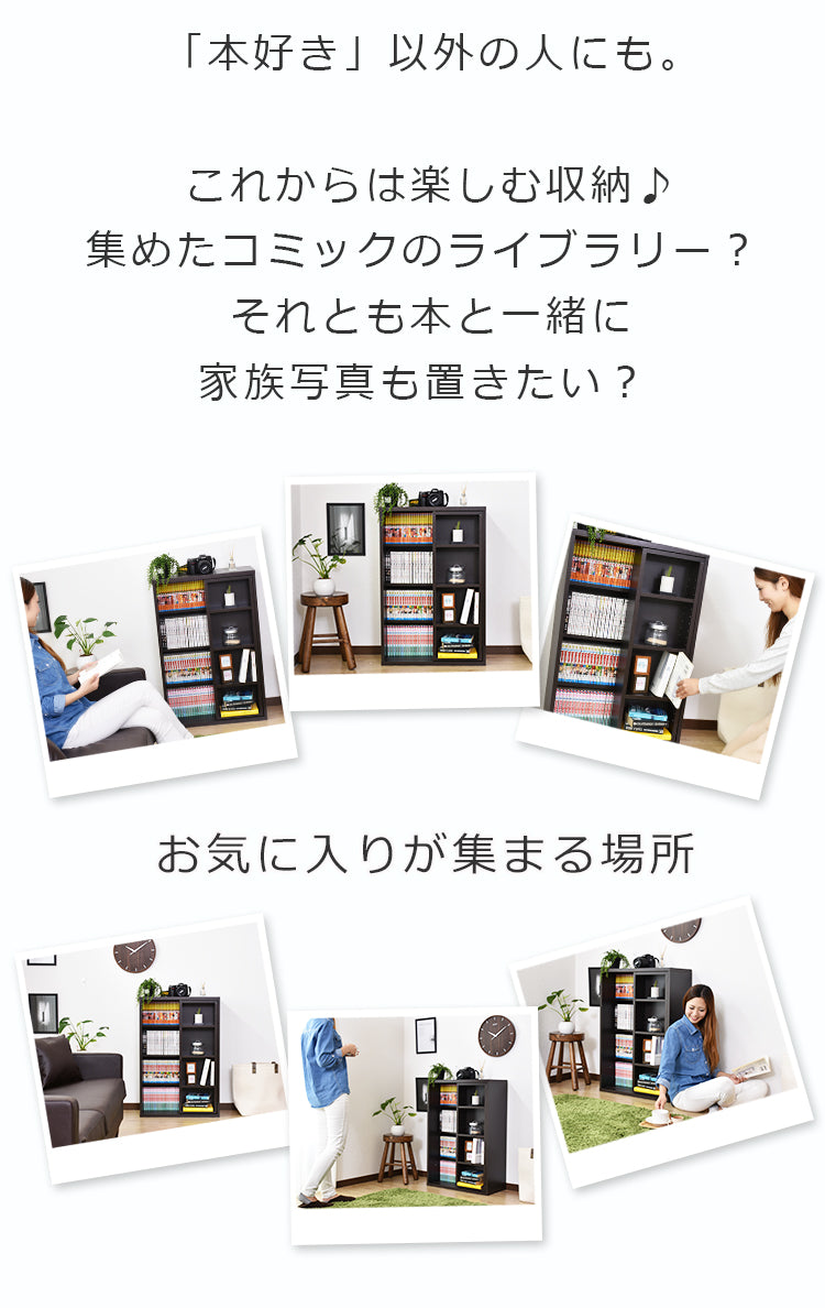 収納棚 アイビス