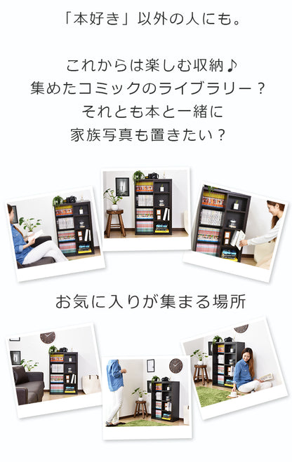 収納棚 アイビス