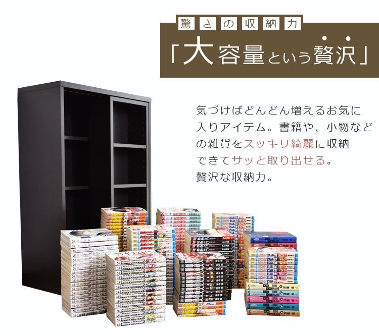 収納棚 アイビス