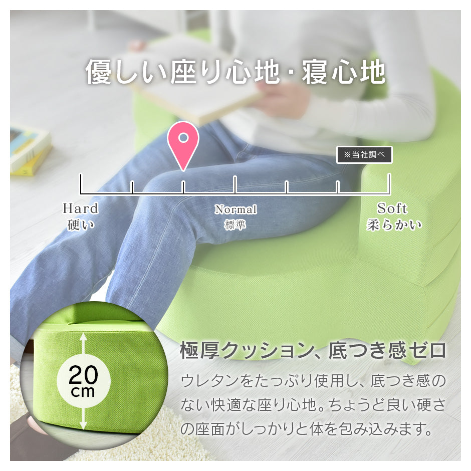 ローソファー ひとりがけ ウレタンソファ ビッグクッション リーベ 1P