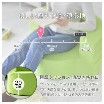 ローソファー ひとりがけ ウレタンソファ ビッグクッション リーベ 1P