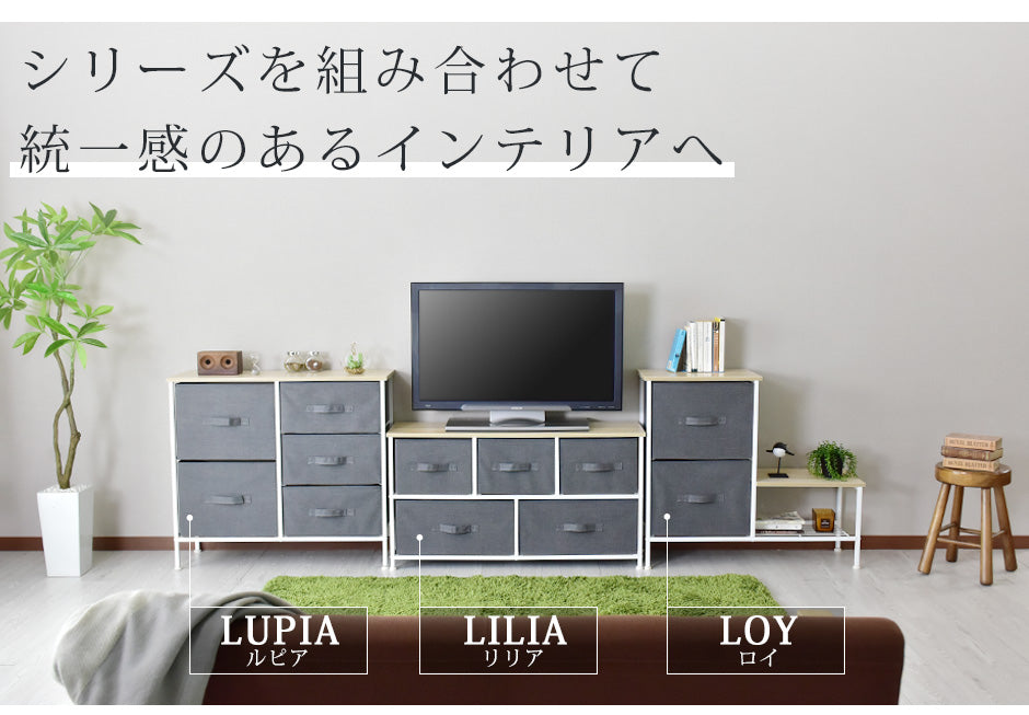 布製チェスト  ロイ