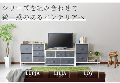 布製チェスト  ロイ
