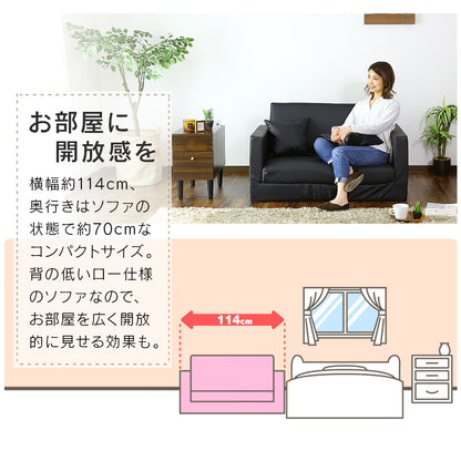 2人掛け 2人用ソファ ソファ ノビルタ2P