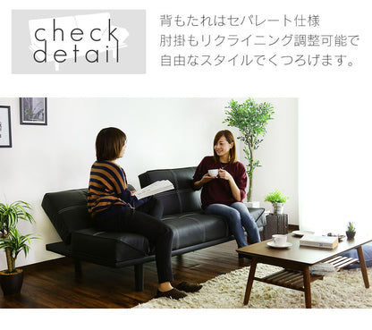 2人掛け 2人用ソファ ソファーベッド プラタ