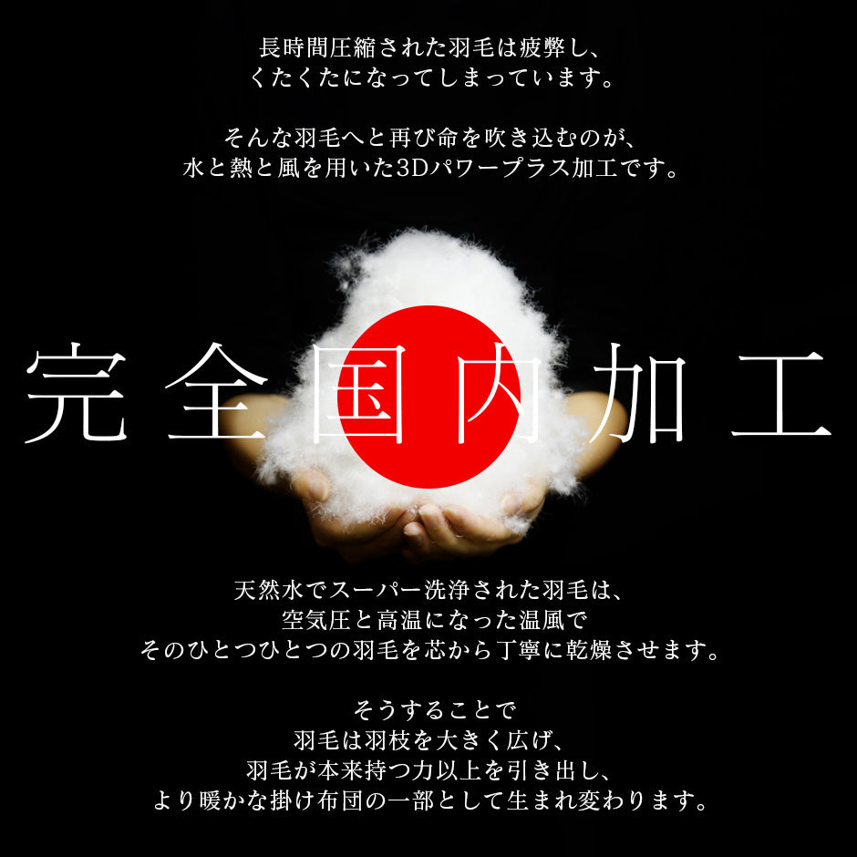 ダブル 掛け布団 エコバランスダウン