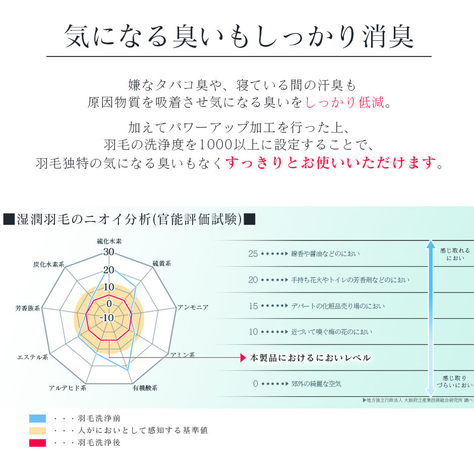 ダブル 掛け布団 エコバランスダウン