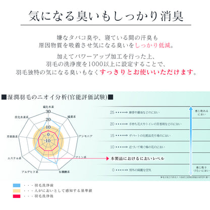 ダブル 掛け布団 エコバランスダウン